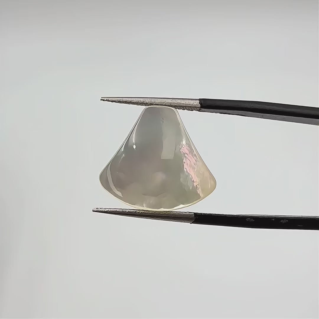 Flat Back Shell-Shaped Cabochon