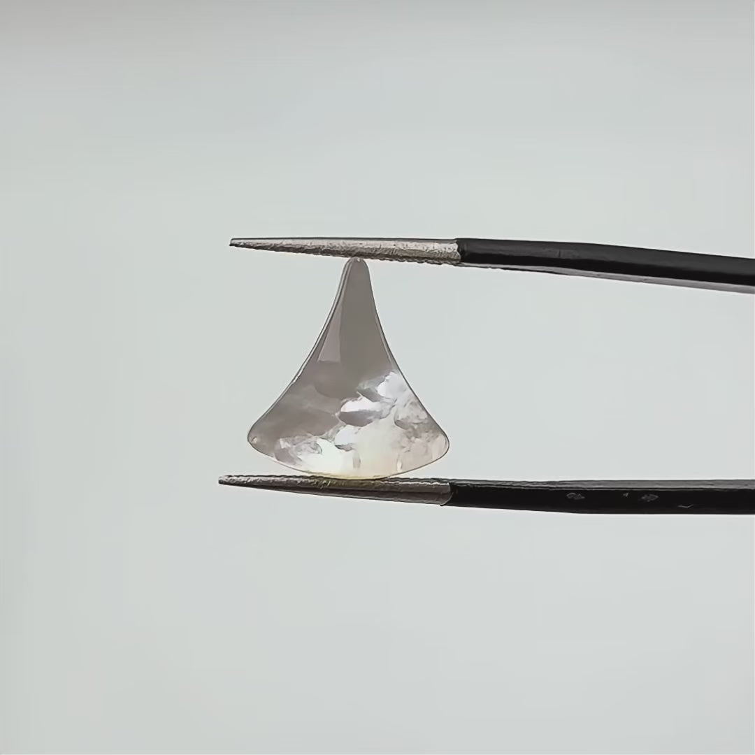 Flat Bell-Shaped Nacreous