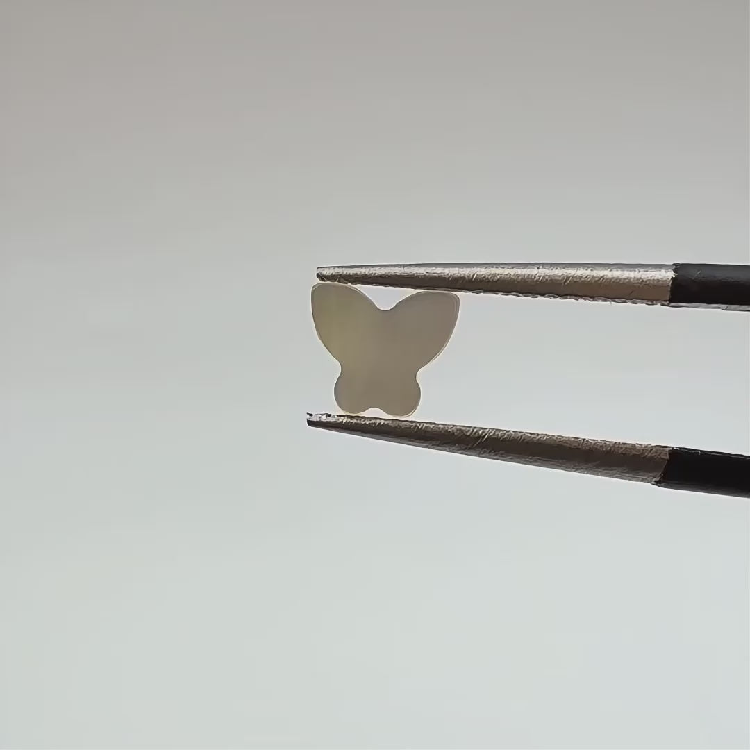 Flat Butterfly Nacreous